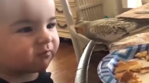 "Baby Loving Parrot & Dog Enjoying Funniest Video Compilation"