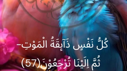 Surah Al-Ankabut | Al Quran