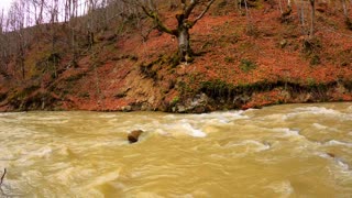 fixed-shot-of-rapids-with-murky-water