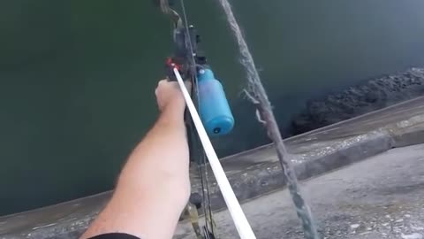 Bowfishing Headshot from a Dam