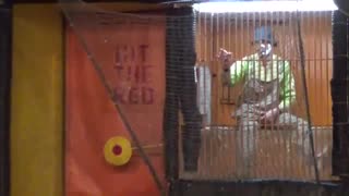 SOUTH FLORIDA FAIR 2012 DUNK TANK CLOWN