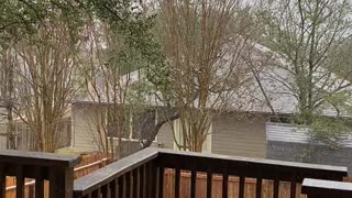 Snowing in South Texas 1/10/21