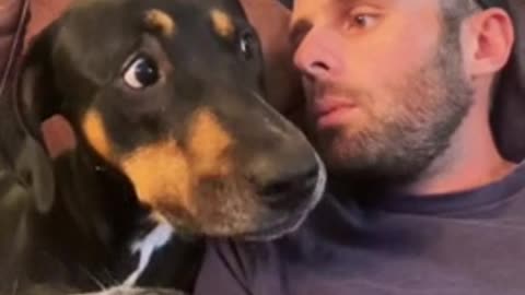 pup's reaction when his owner talks to him about an extended warranty. Priceless!