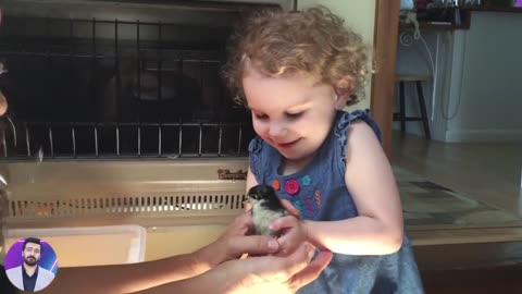 BABIES AND CHICKS