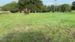 Pushing the Herd