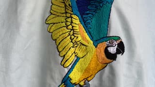 Beautiful embroidering of a blue and gold macaw