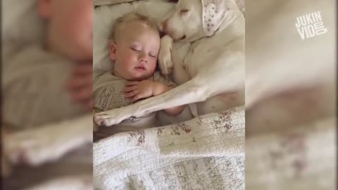 cute baby very happy playing with dog