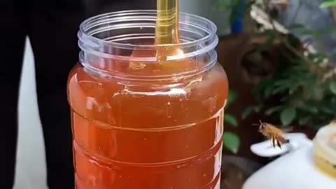 Amazing honey collect Video