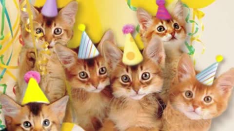 Cute Cats Sing 'Happy Birthday'.webm_batch