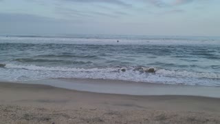4k surfers Huntington Beach surfers not at paradise beach not Australia