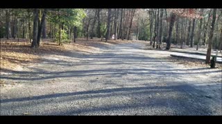 Barnwell State Park SC walk around