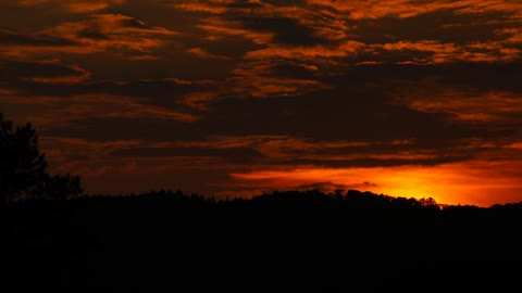 sunset at the forest