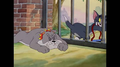 Tom and jerry kids video