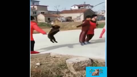 Dog playing rope game with children. Very funny