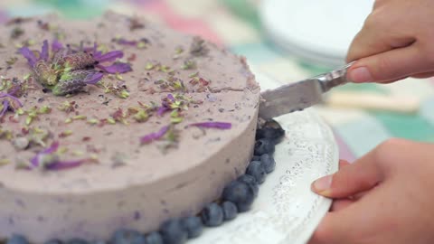 raw vegan blueberry cake