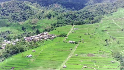 Beautiful and Unique Rice Fields in Manggarai