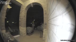 Doorbell Cam Catches Candy Snatcher