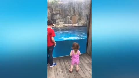 Adorable baby meeting Animal to zoo..