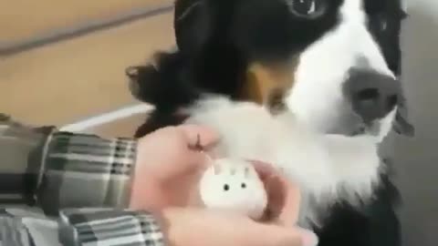 He doesn’t care about his new friend