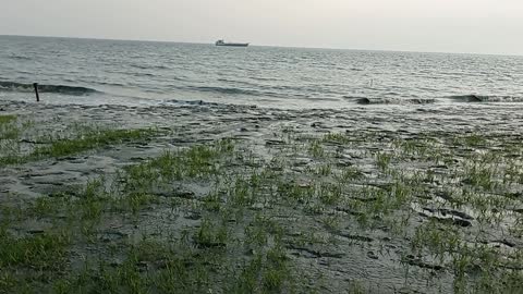 Bangladesh see beach