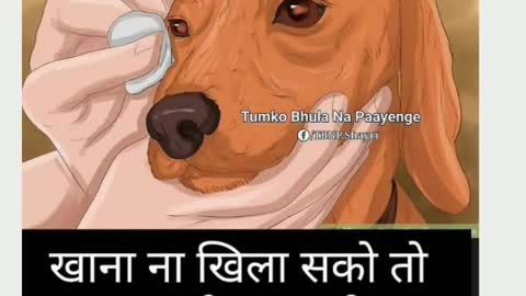 Dog saayri.🥺🥺