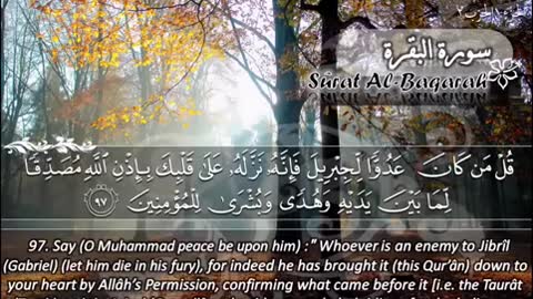 Surah Al Baqarah Mashary Rashid Al Afasy