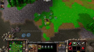 Warcraft 3 Win #33