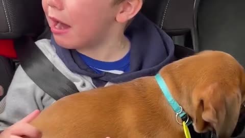 child crying about dog gift