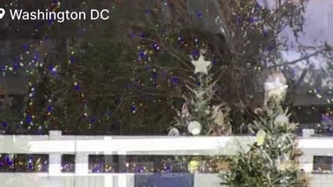 🎄D.C. or XMAS OMEN?