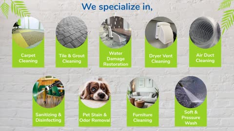 Best Carpet Cleaning Company Homestead