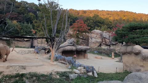 Korea zoo!!