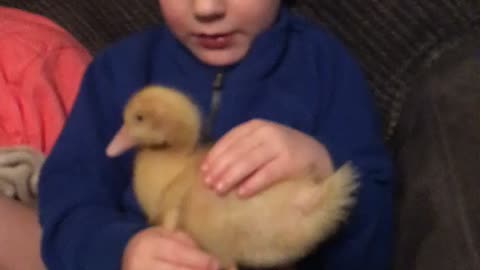 Noah holding baby duckling Aflac