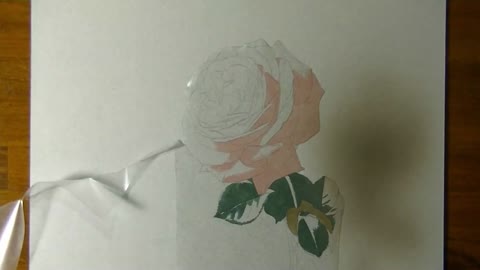Draw A Lifelike Picture Of A Rose