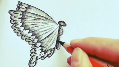 Handmade Drawing Bird & Butterfly | How to draw drawing