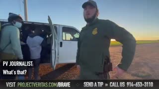 Project Veritas EXPOSES The Truth Along The Border: "You're A Shuttle Service"