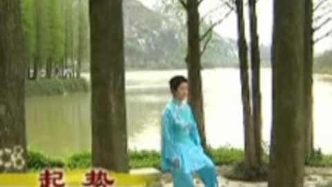 Wudang Taichi 13 Style Rare Video