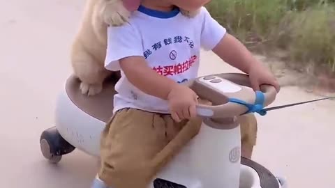 Puppy Rides a Tricycle with Baby!