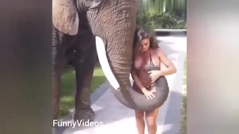 Crazy animal bloopers