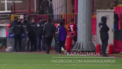 Dog takes over football match