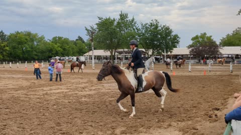 Hazel riding Avi - English Equitation - 26 July 2023