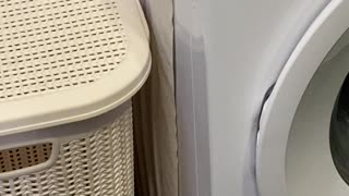Washing Machine Neatly Stacks Toilet Paper