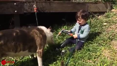 Funny Baby and Dog playing with water hose