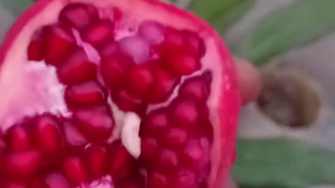 Amazing ripe pomegranate peeling skills |shorts |food