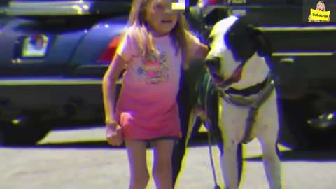 Giant Dog Approaches Little Girl In Hospital Bed, Now Keep Your Eye On His Back 21