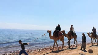 Camel Ride Journey In 3 Pools Dahab Trip