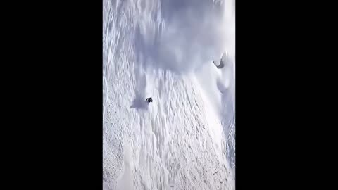 🏂 Amazing Freeride | extreme sport | short video 🏂