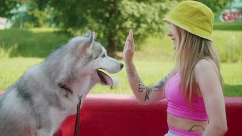 A Woman Training Her Dog at the Park