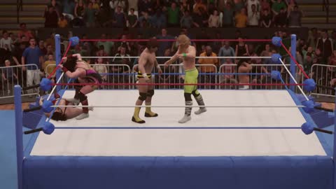 New York Fight Night (WWE 2K18 show)