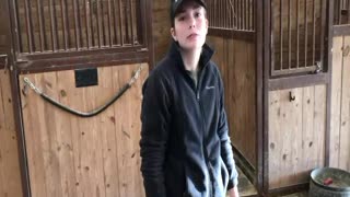 Treating our horses for scratches