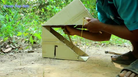 Simple Wild Cat Trap Using Paper Box - Create Traditional Wild Cat Trap!!!!